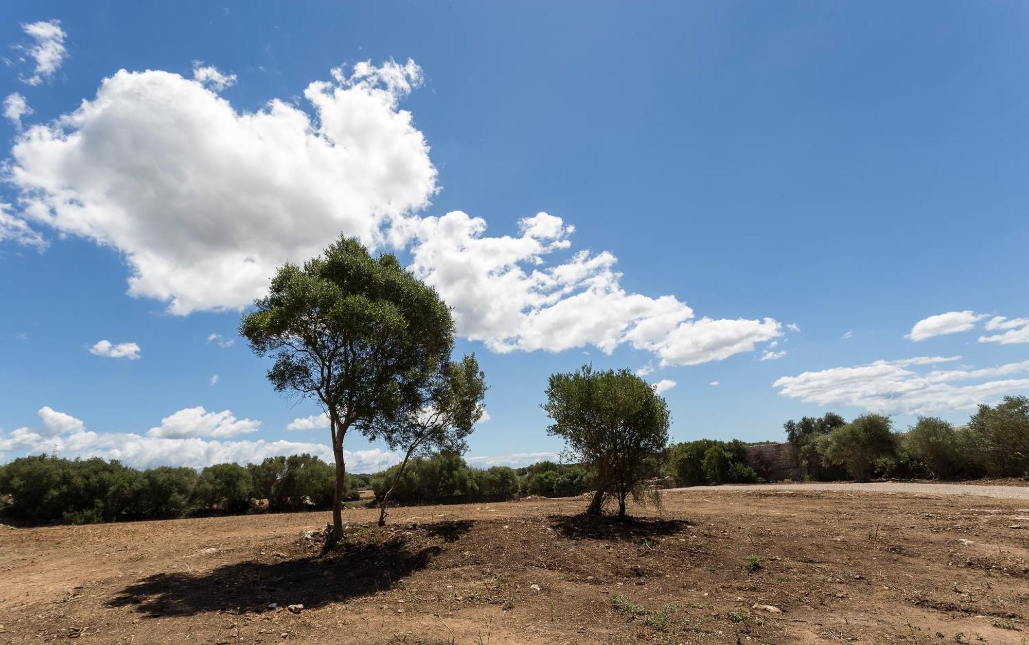 Agroturismo Santa Mariana Alaior Εξωτερικό φωτογραφία